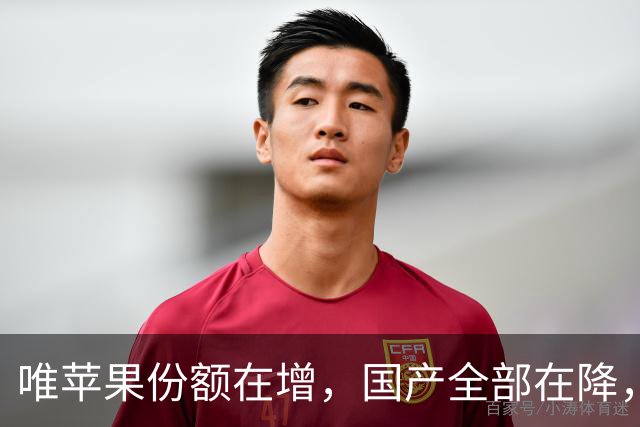 唯苹果份额在增，国产全部在降，W41周怎么了？
