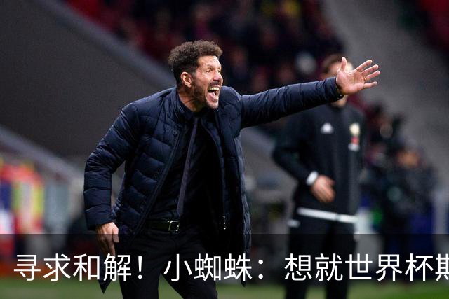 寻求和解！小蜘蛛：想就世界杯期间言论向球迷道歉 那是一个错误