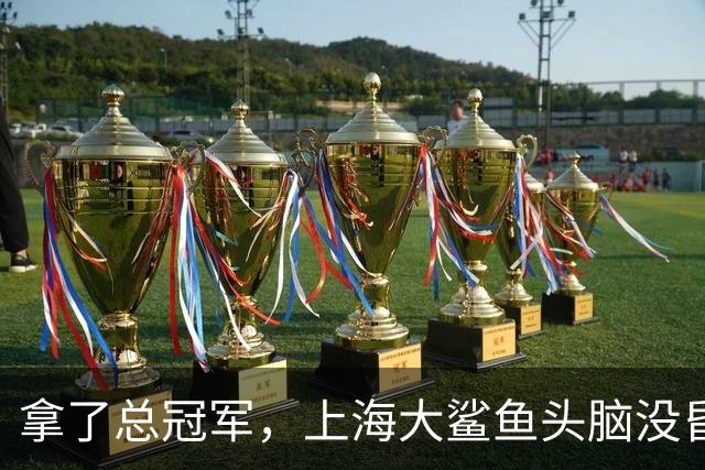 拿了总冠军，上海大鲨鱼头脑没昏