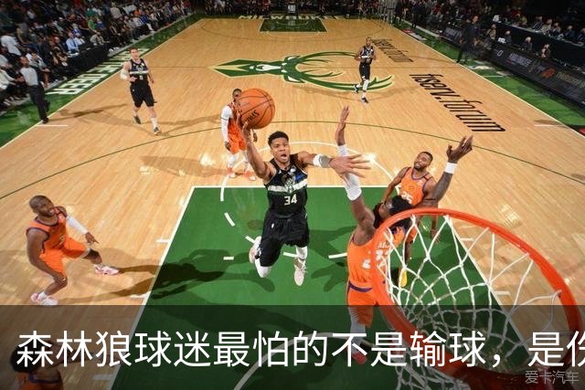 森林狼球迷最怕的不是输球，是伤病：一次投票投出了真心话