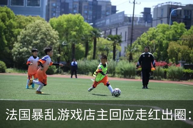 法国暴乱游戏店主回应走红出圈：我不是英雄