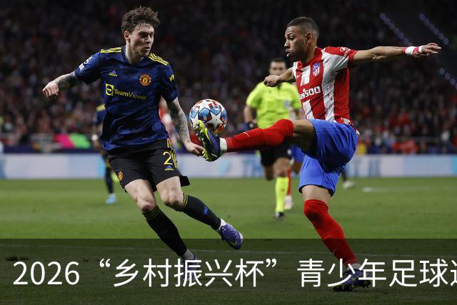 2026“乡村振兴杯”青少年足球邀请赛圆满落幕
