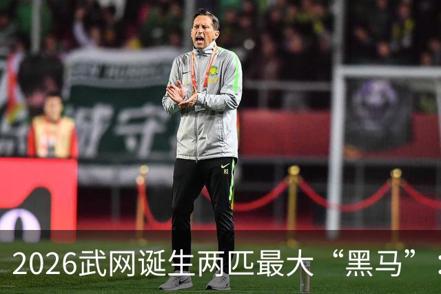 2026武网诞生两匹最大“黑马”：世界排名170的卡塔尔杀进决赛，波兰“月亮姐”击败发小斯瓦泰克晋级，有望夺冠！